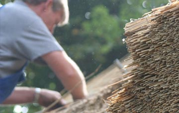 professional Dwygyfylchi thatchers